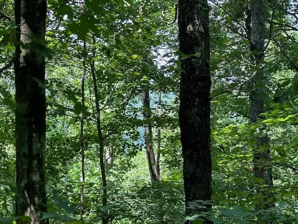 Lot 89 Bobcat Lane, WILDER, TN 38589