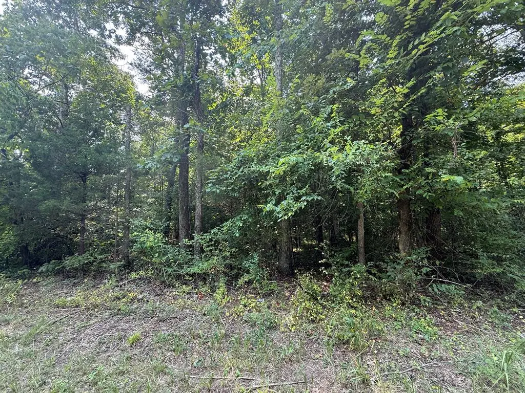 0 Turner Greenhouse Rd, Crossville, TN 38572 - #1