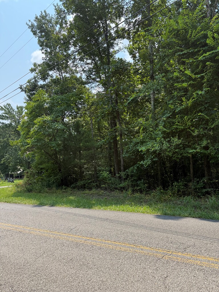 0 Turner Greenhouse Rd, Crossville, TN 38572 - #2