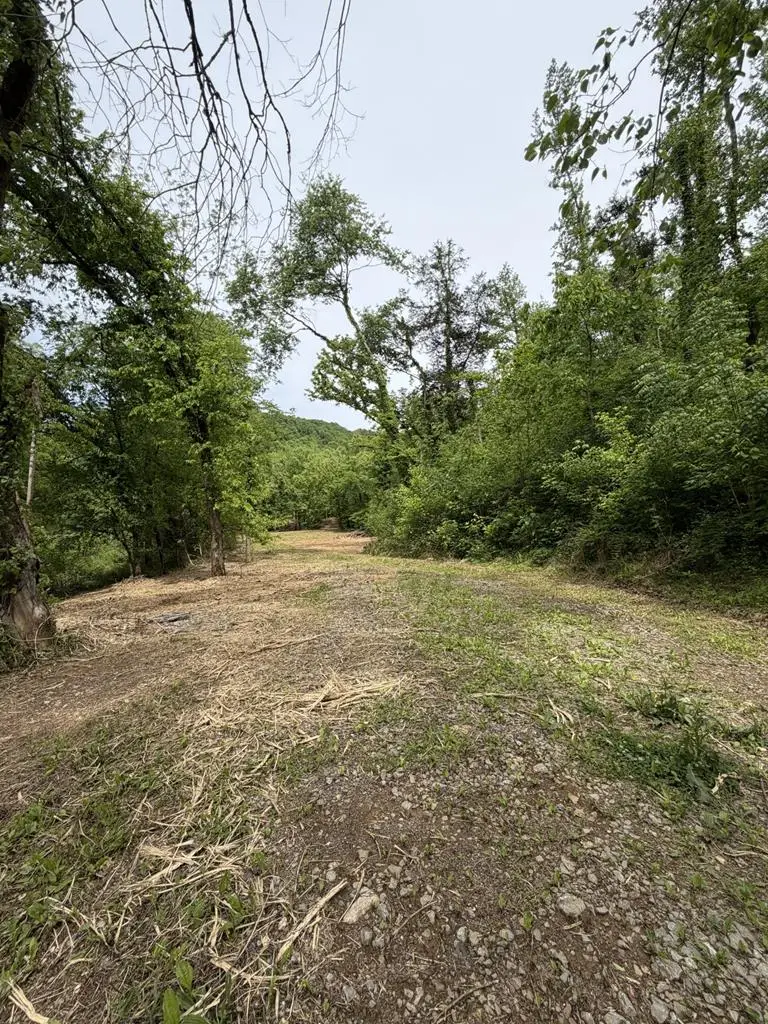 0 Long Branch Road, Lancaster, TN 38569 - #2
