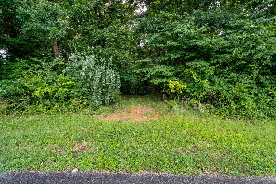 00 Bowman Ln, Doyle, TN 38559 - #2