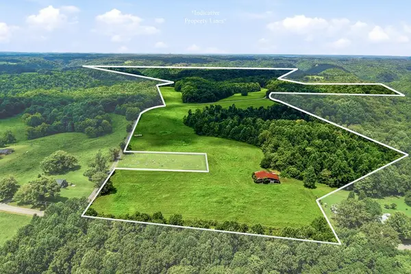 220+/-AC Hensley Cemetery Ln, GAINESBORO, TN 38562