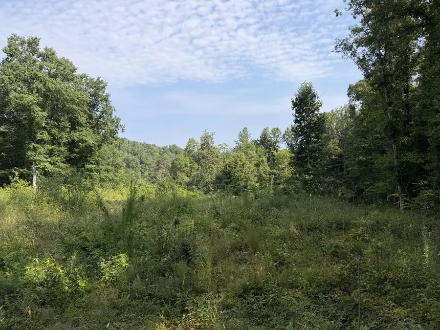 140.30 Acres Skull Creek Rd., Robbins, TN 37852 - #2