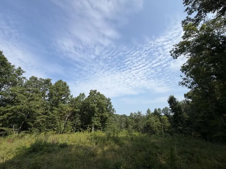 140.30 Acres Skull Creek Rd., Robbins, TN 37852 - #3