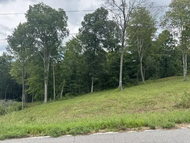 1.46 AC Willow Grove Hwy, Allons, TN 38541 - #3