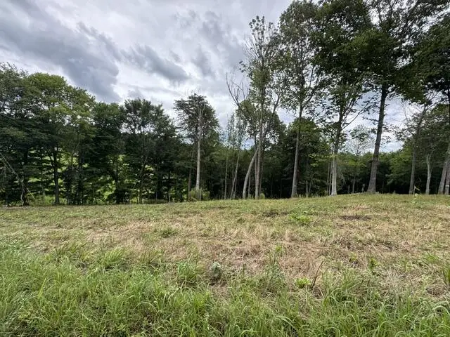 2.48 AC Willow Grove Hwy, Allons, TN 38541 - #1