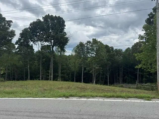 2.48 AC Willow Grove Hwy, Allons, TN 38541 - #3
