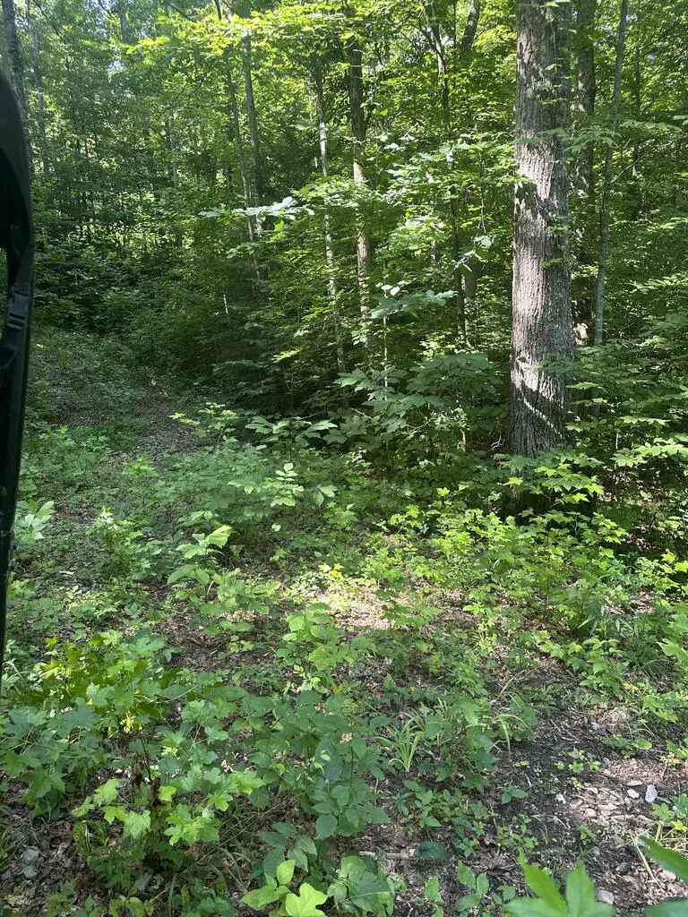 Lot 419 Grabber Lane, Wilder, TN 38589 - #1