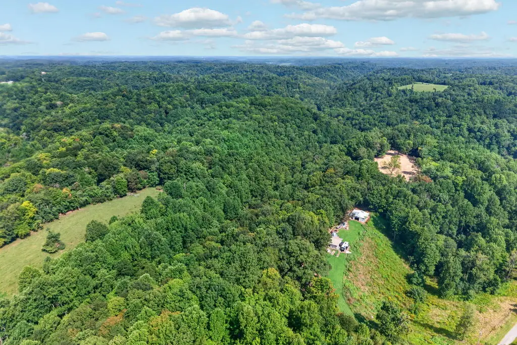 195 Hack Dyer Ln., Bloomington Springs, TN 38545 - #1