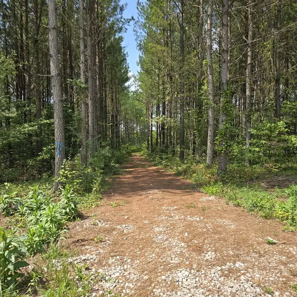 T23L5 Sheep Ranch Road, Robbins, TN 37852
