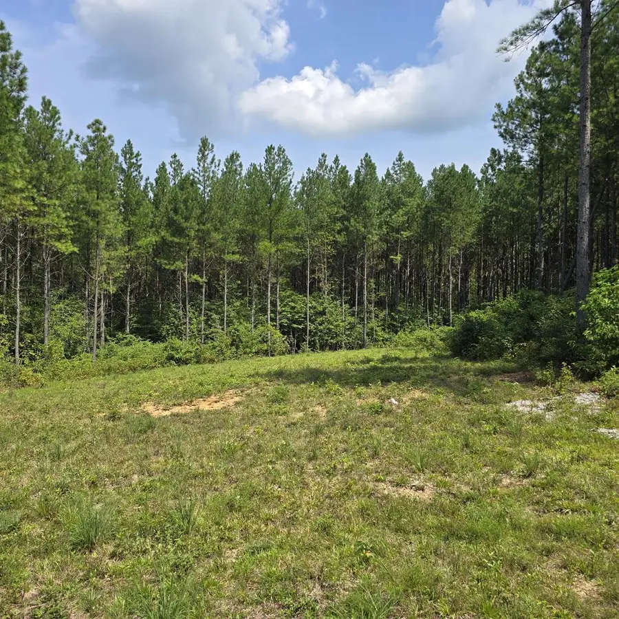 T23L5 Sheep Ranch Road, Robbins, TN 37852 - #2