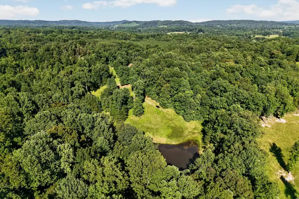 151 Ward Ln., LIVINGSTON, TN 38570