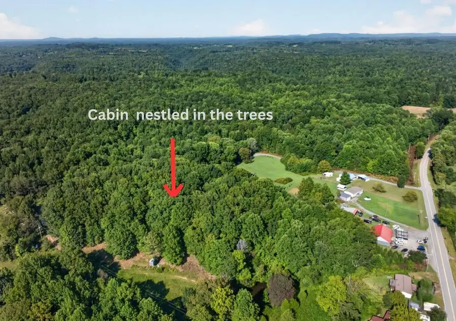 205 Richardson Ln, Gainesboro, TN 38562 - #2