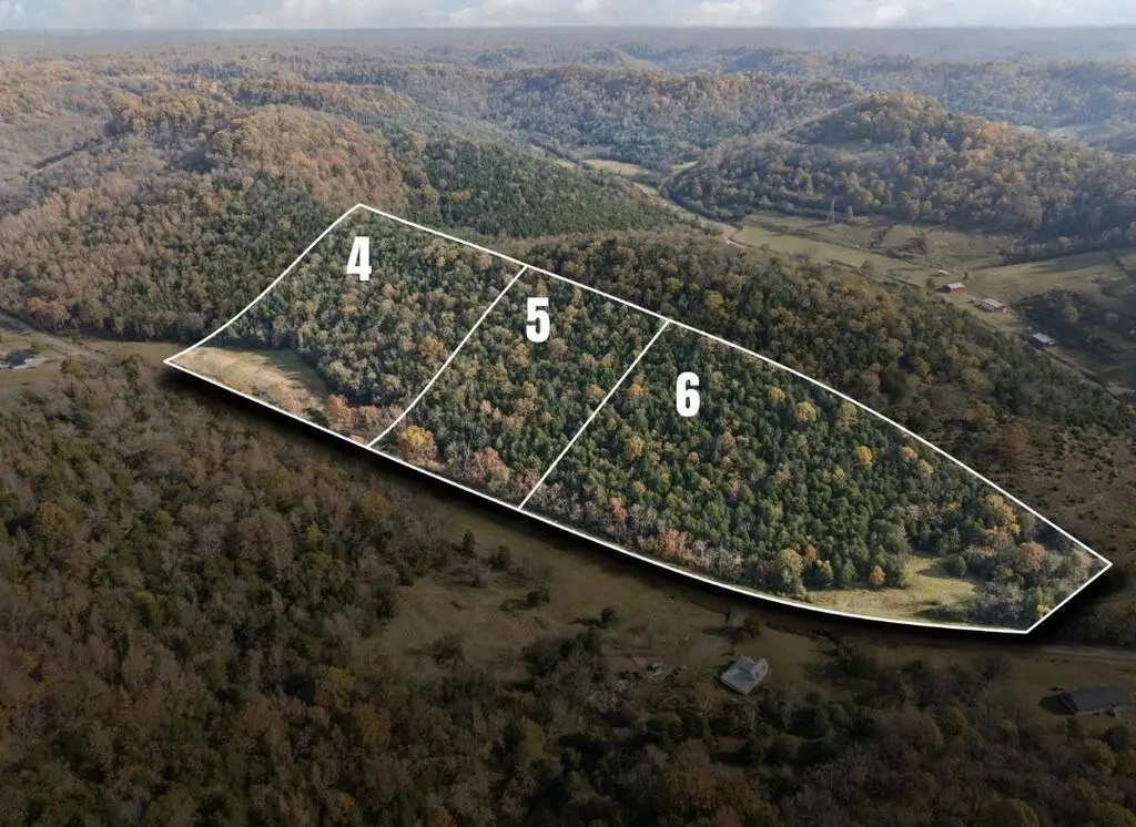 0 Club Springs Rd, Lot 4-6, Elmwood, TN 38560 - #1