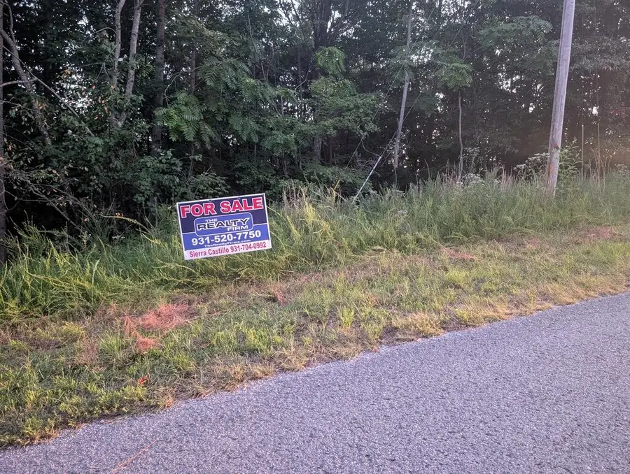 Lot 109 Chimney Rock Road, New Tazewell, TN 37825 - #3