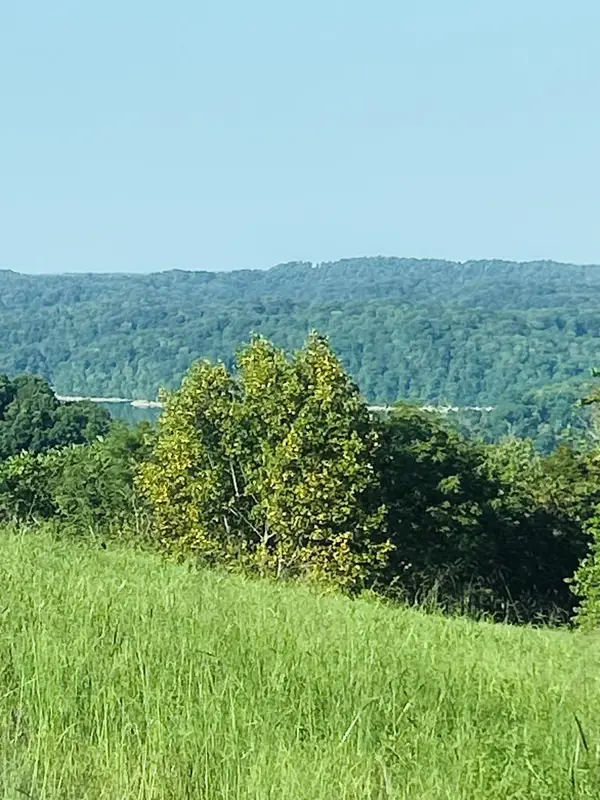 22A Catfish/swan Ridge, Hilham, TN 38568