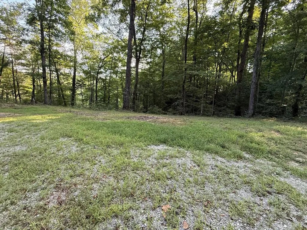 205 Dogwood Lane, Burkesville, KY 42717 - #1