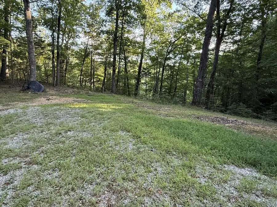 205 Dogwood Lane, Burkesville, KY 42717 - #2