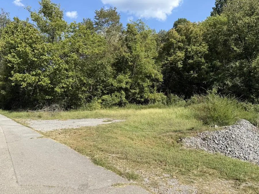 325 W Gipson Ave, Gainesboro, TN 38562 - #2