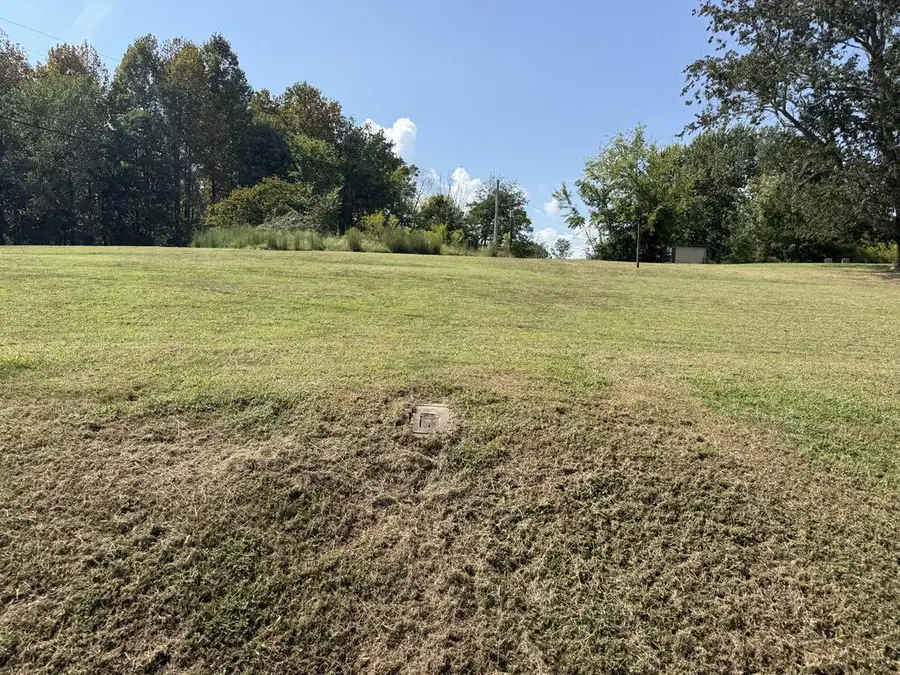 1 Ac Harmony Rd, Gainesboro, TN 38562 - #3