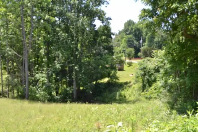 2376 (lot 1) Pea Ridge Fire Town Rd, Celina, TN 38551 - #1