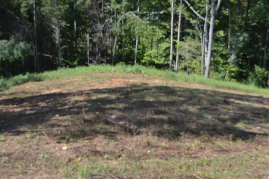 2376 (lot 1) Pea Ridge Fire Town Rd, Celina, TN 38551 - #3
