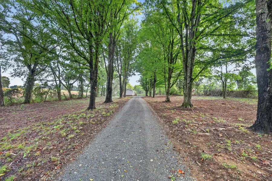 310 Carter Ln, Castalian Springs, TN 37031 - #2