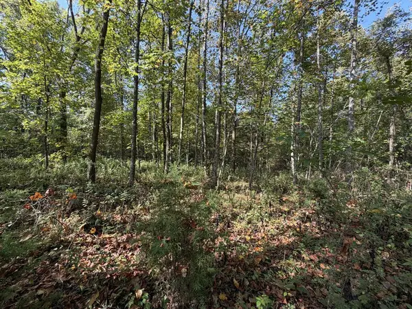 22.35 Ac Moor Knob Rd, Allardt, TN 38504