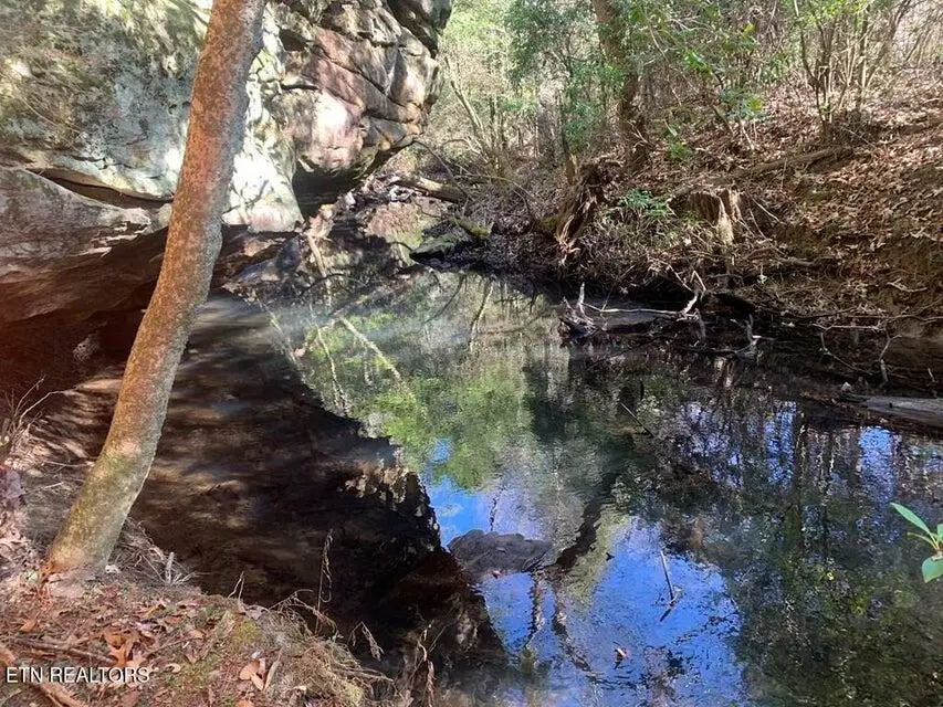 Lot 1 Lone Wolf Trail, Spencer, TN 38585 - #1