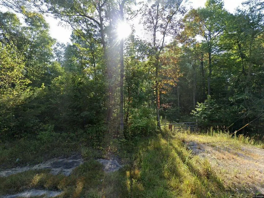 410 Jim Garrett Rd, Monterey, TN 38574 - #1
