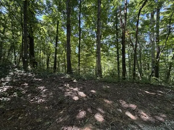 16.25 AC Jimmy Reneau Rd, Celina, TN 38551