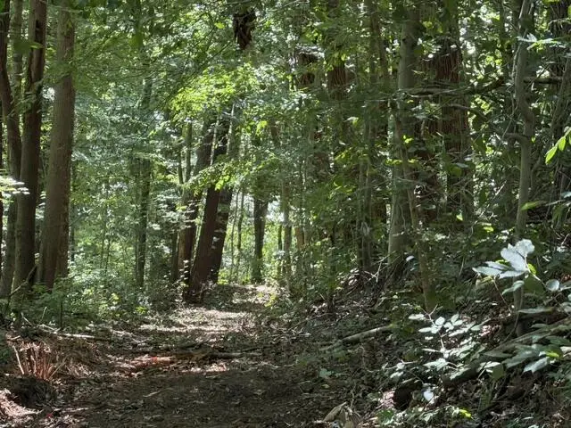 16.25 AC Jimmy Reneau Rd, Celina, TN 38551 - #3