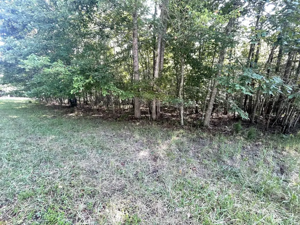 91A&91B Holly Ln, Spencer, TN 38583 - #1