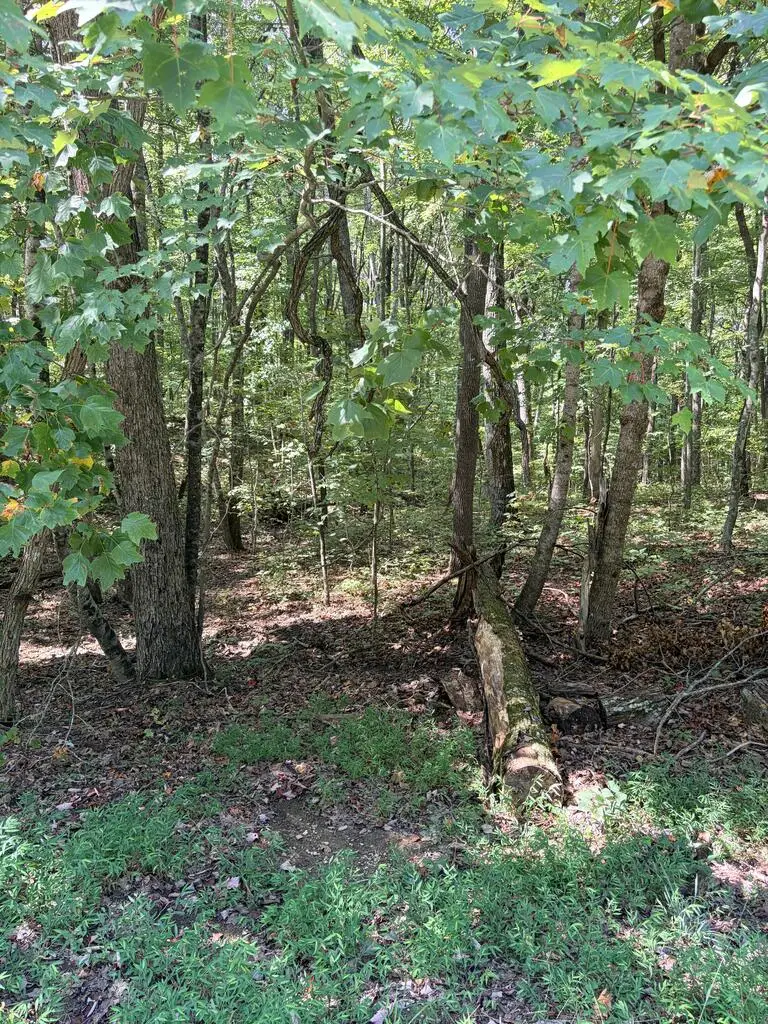 lot 5 Cowpens, Monterey, TN 38574 - #2