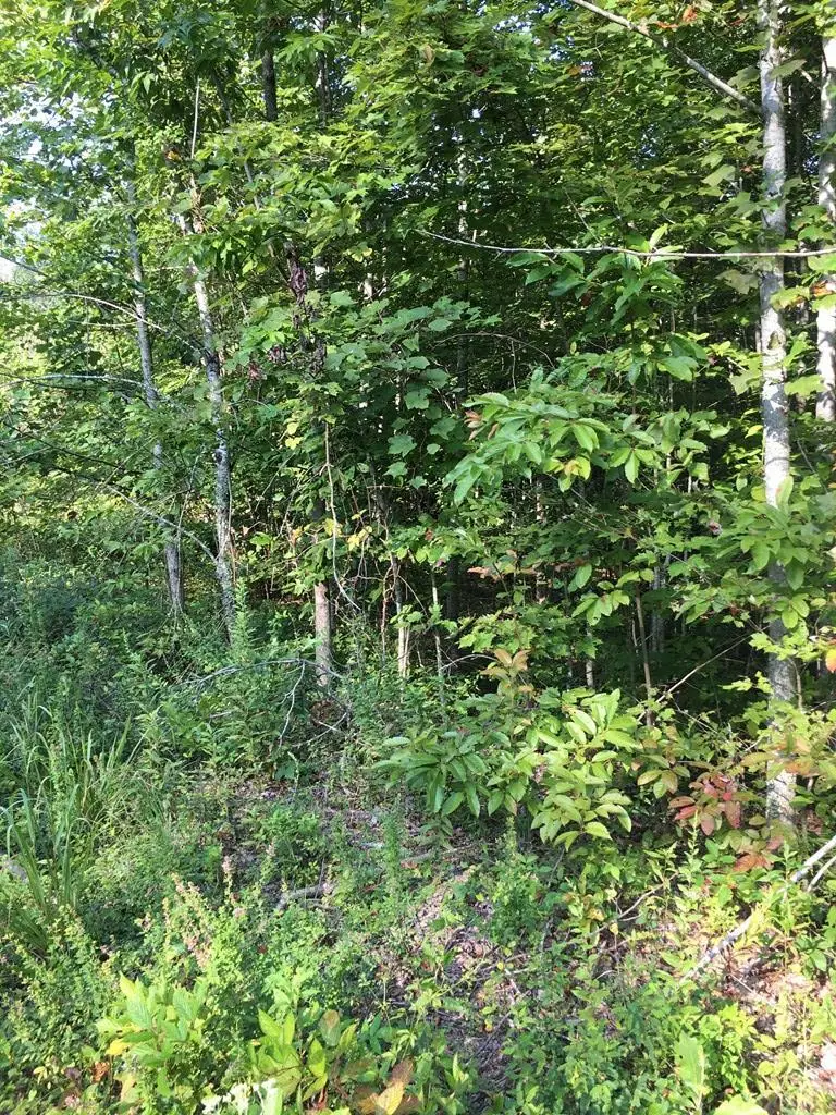 Lot 239 Hood Lane, Wilder, TN 38589 - #1