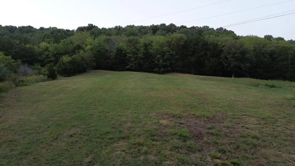 0 Preston Ln Lot 1, Elmwood, TN 38560 - #1