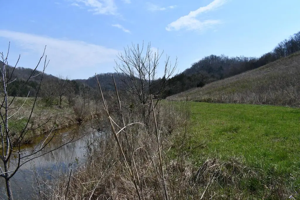 349.94 Ac Dry Mill Creek And Tick Roads, Hilham, TN 938568 - #1