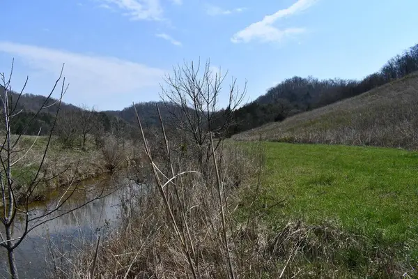349.94 Ac Dry Mill Creek And Tick Roads, Hilham, TN 938568