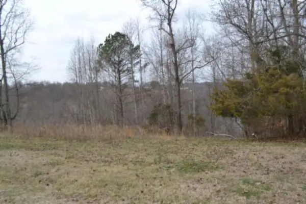 Lots 4&5 Fox Hill Road, Baxter, TN 38544