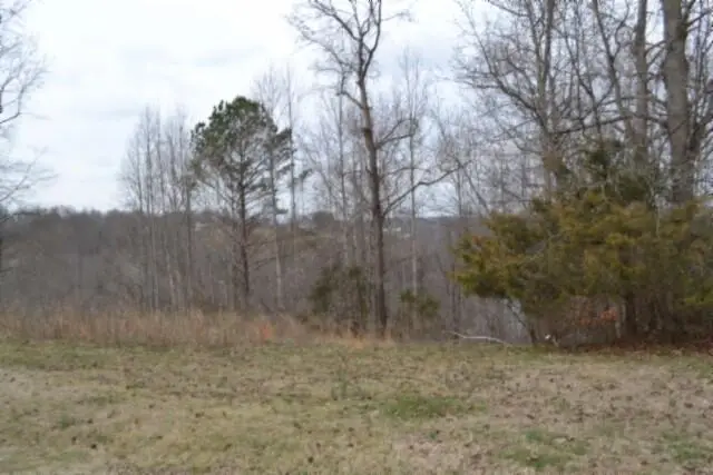 Lots 4&5 Fox Hill Road, Baxter, TN 38544 - #3