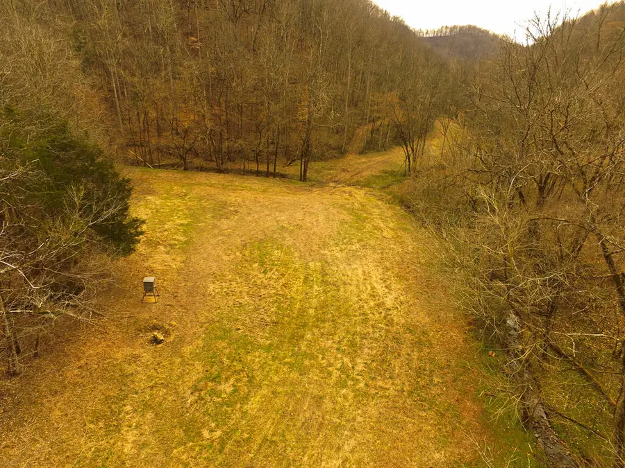 290 Hazel Huffines Lane, Whitleyville, TN 38588 - #3
