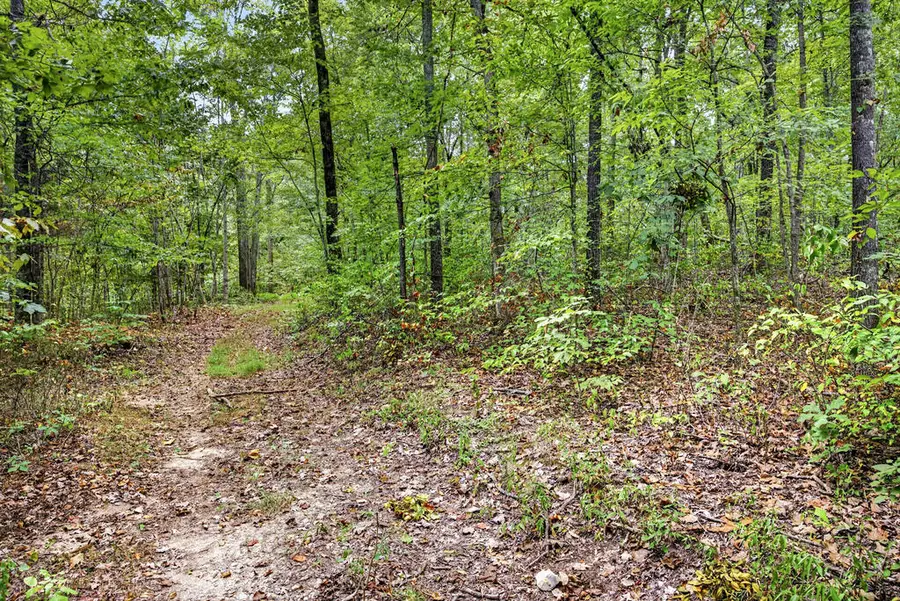Lot 21 Timber Ridge Lane- Phase Ii, Celina, TN 38551 - #3