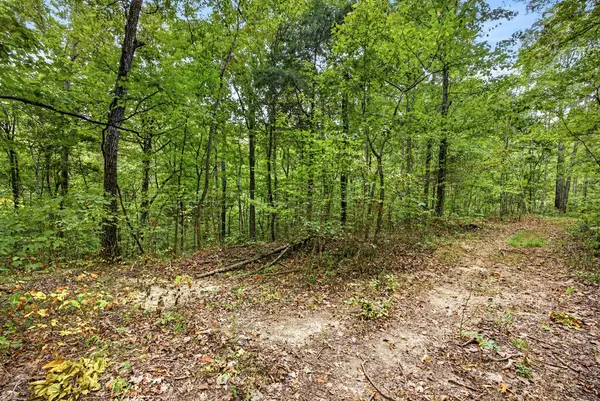 Lot 20 Timber Ridge Lane- Phase Ii, Celina, TN 38551