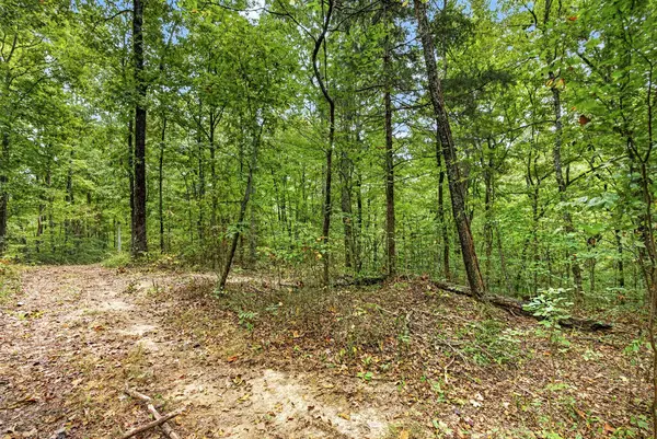 Lot 23 Timber Ridge Lane- Phase Ii, Celina, TN 38551
