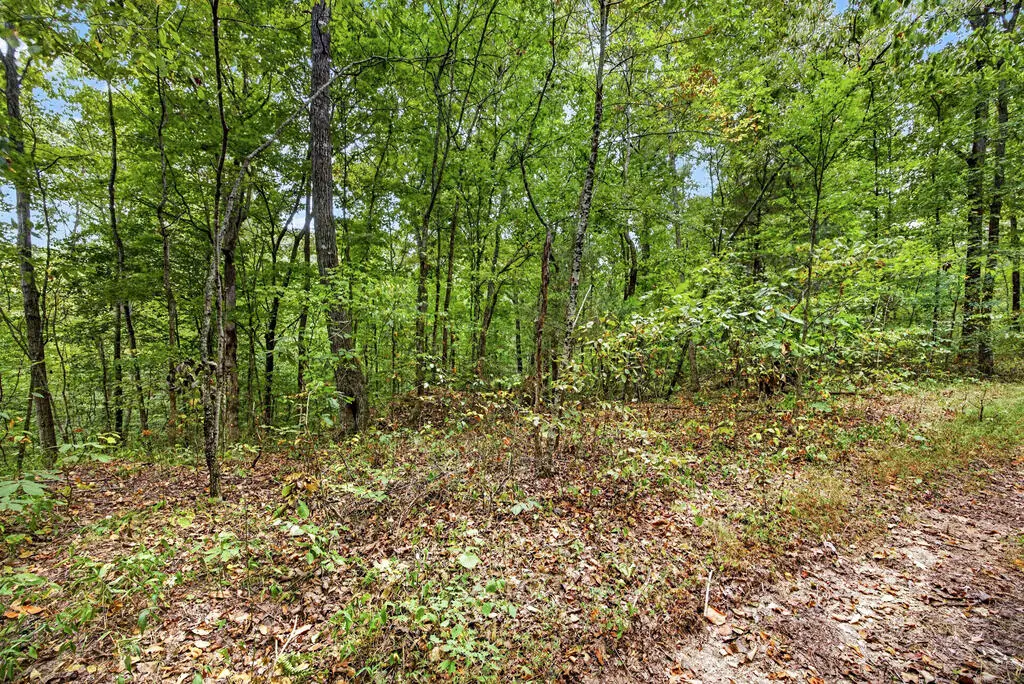 Lot 24 Timber Ridge Lane- Phase Ii, Celina, TN 38551 - #1