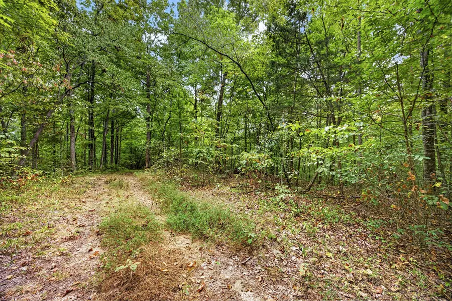 Lot 24 Timber Ridge Lane- Phase Ii, Celina, TN 38551 - #3