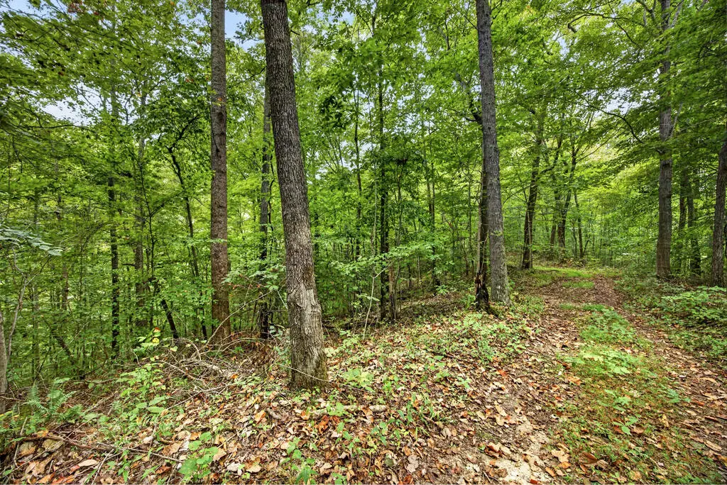 Lot 26 Timber Ridge Lane- Phase Ii, Celina, TN 38551 - #1