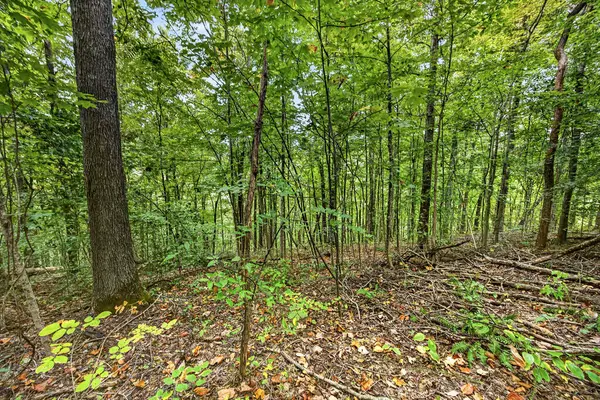 Lot 29 Timber Ridge Lane- Phase Ii, Celina, TN 38551