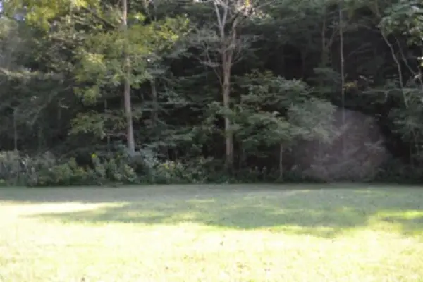 Lot 4&7 Cherry Farm Lane, Celina, TN 38551
