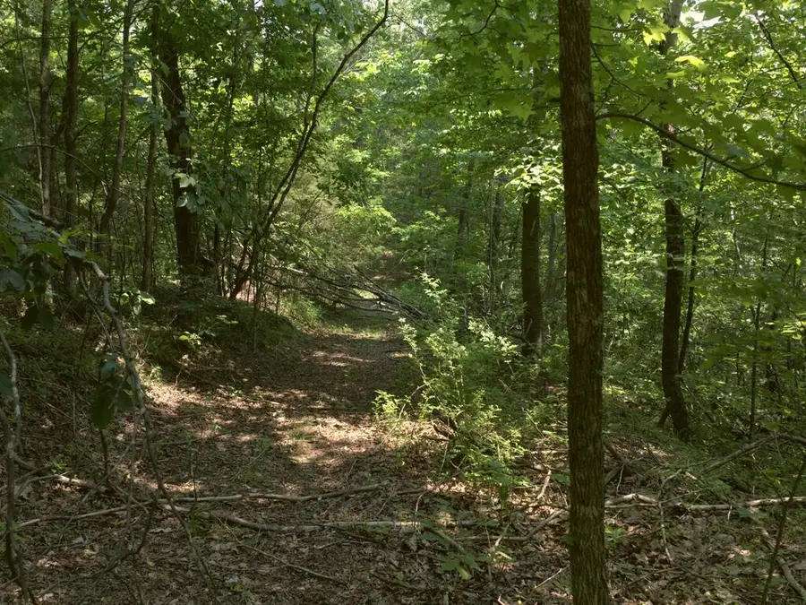 Lot 4&7 Weber Lane, Celina, TN 38551 - #2